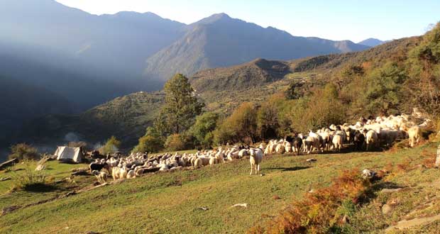 Lord Curzon Trail Kuari Pass