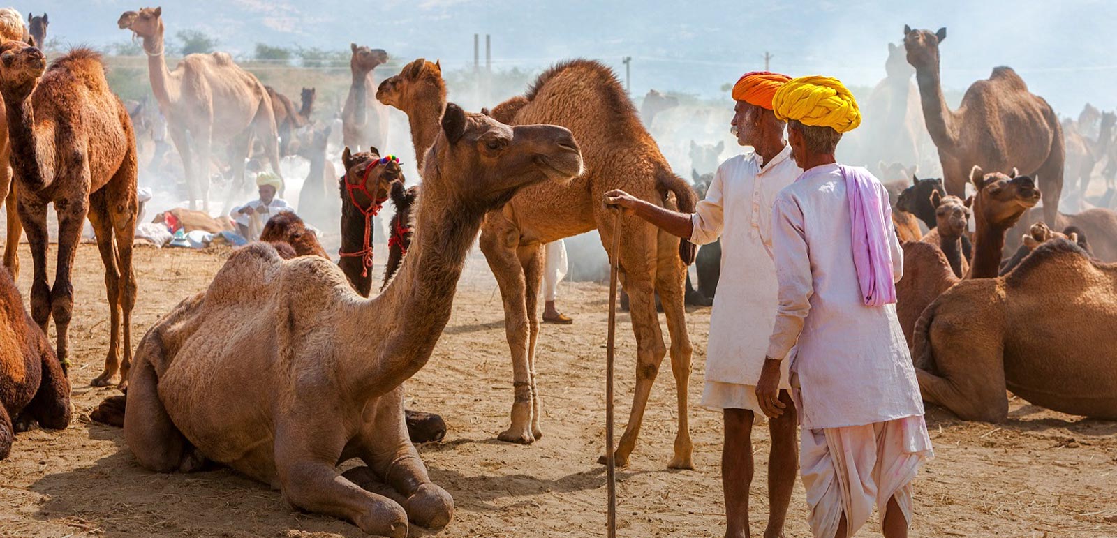 Pushkar Fair Photography Tour 2023