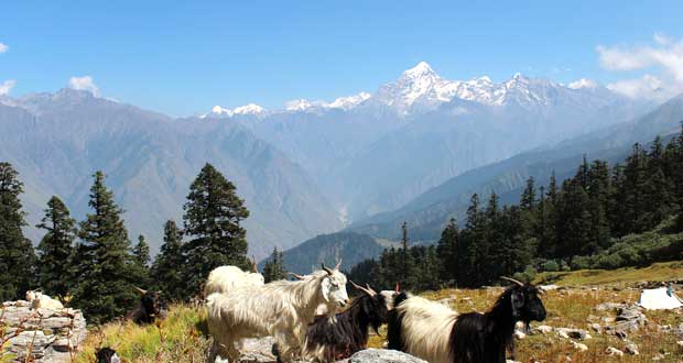 Lord Curzon Trail Kuari Pass