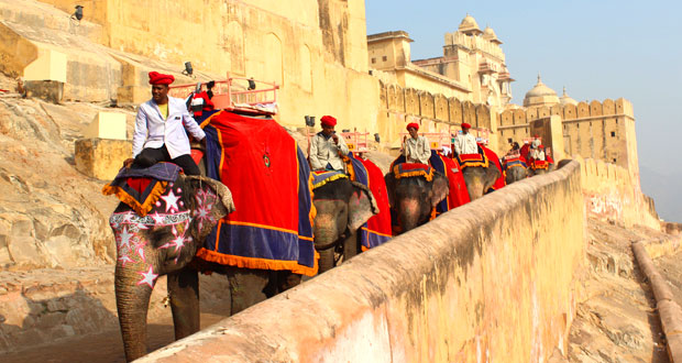 Taj, Tigers, Temples Tour