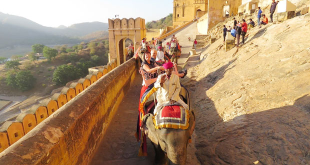 Palace Tour of Rajasthan