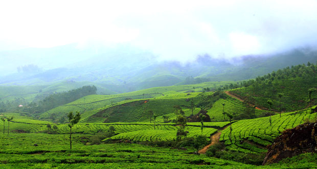 Photography tour of Kerala