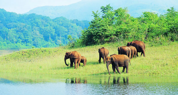 Kerala Cycling Tour