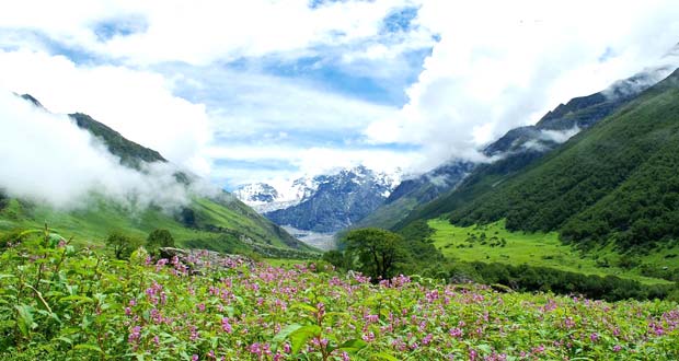 Valley of Flowers Trek