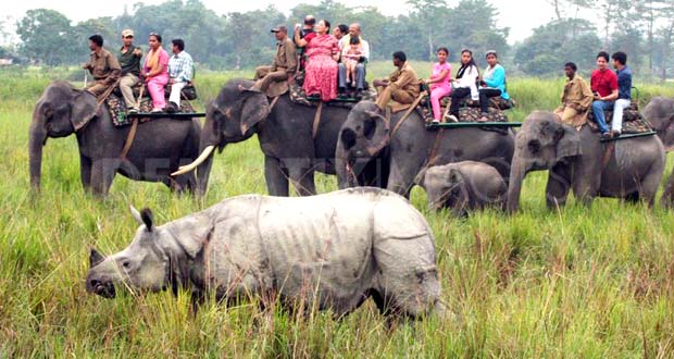 indian tiger safari on elephant