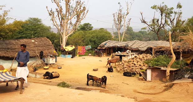 Rajasthan Village Tour