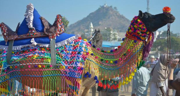 Pushkar camel fair, Rajasthan