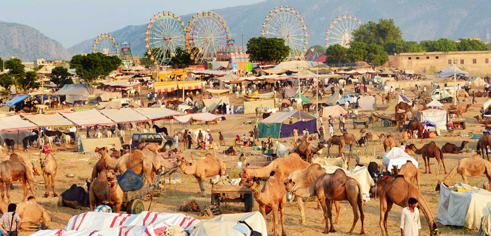 saiindiatravel-pushkar-fair