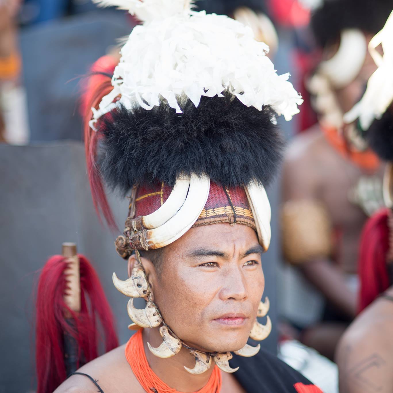 Nagaland Hornbill Festival Tour – 2023