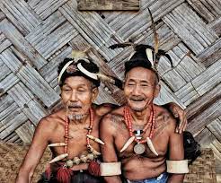 Nagaland Hornbill Festival Tour – 2023